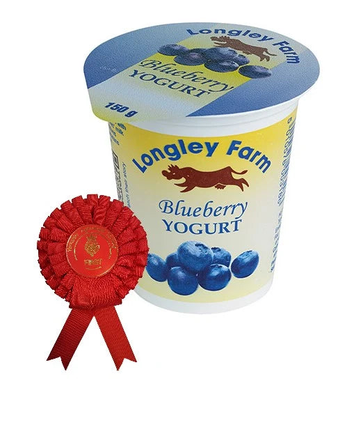 Blueberry Yogurt