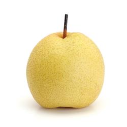 Asian Pear