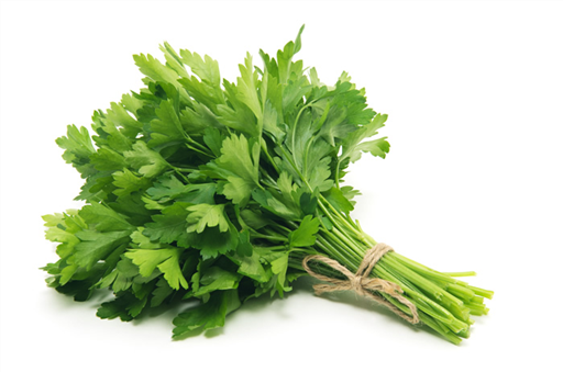 Fresh Flat Leaf Parsley
