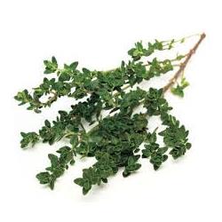 Fresh Thyme