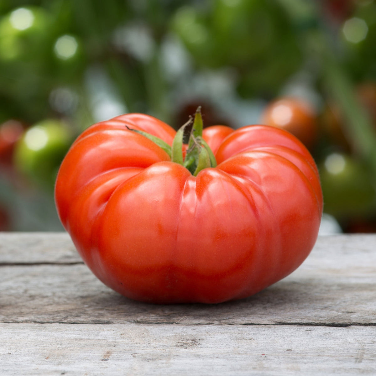 Beef Tomatoes 250G