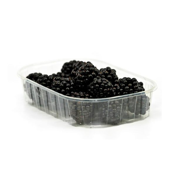 Blackberries Punnet