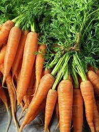 Bunch Carrots