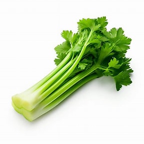 Celery