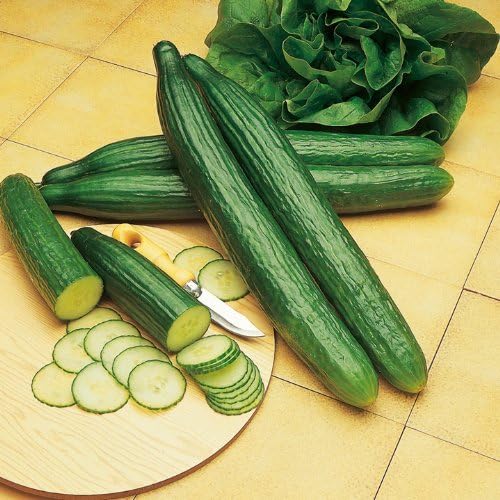 Cucumber