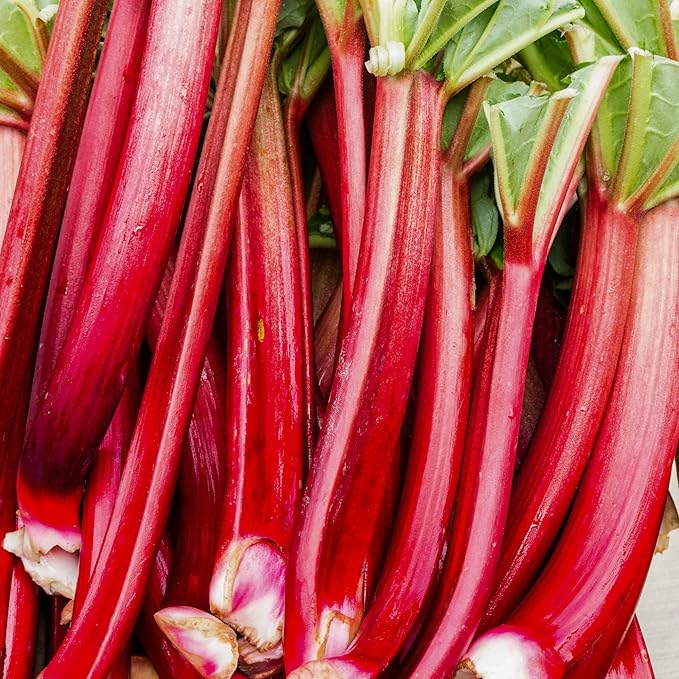 Forced Yorkshire Rhubarb 250G